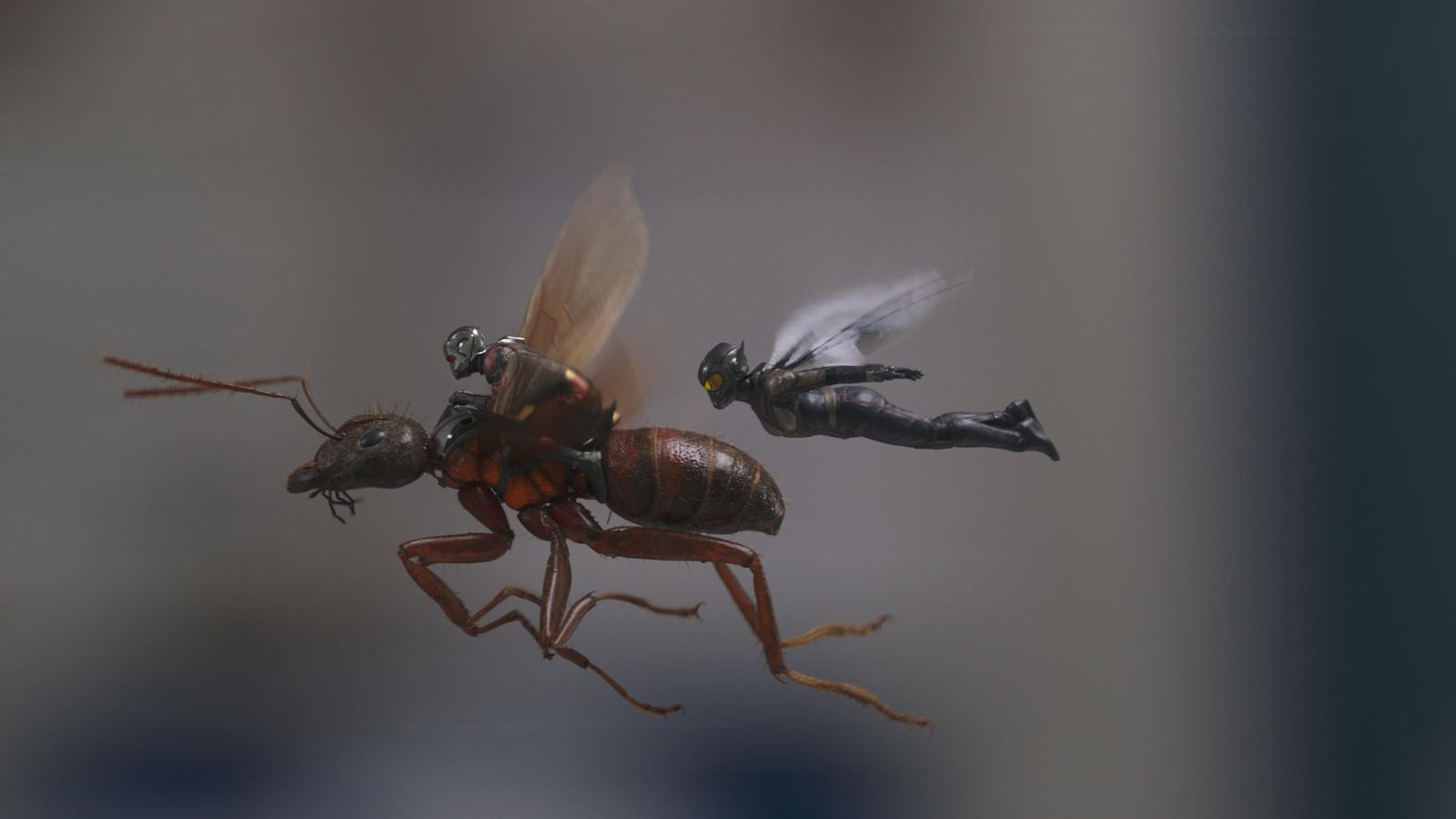 ant-man-wasp-marvel-press-6