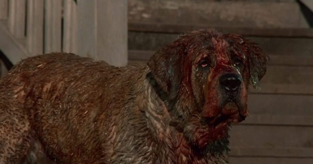 Анонс фільму Cujo на Netflix